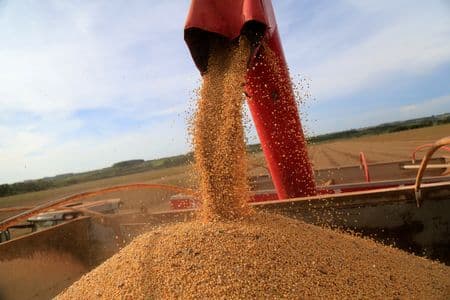 IGP-DI cai mais que o esperado em fevereiro, mostra FGV