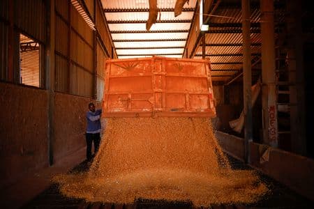 Soja cai após Suprema Corte derrubar tarifas dos EUA