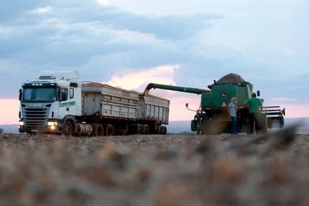 USDA eleva previsão de safra de soja do Brasil 25/26 para 180 mi t