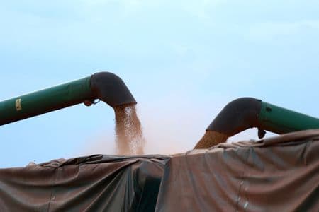 Coamo vê vendas de soja mais lentas e preocupação logística com grande safra