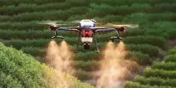 China amplia participação em feiras agrícolas no Brasil