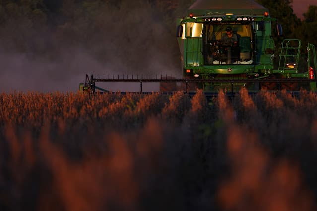 Abiove eleva estimativas de exportação e esmagamento de soja do Brasil