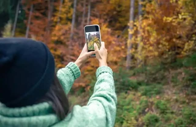 Vídeos da natureza acalmam a mente, melhoram o humor e criam conexão semelhante à de atividades ao ar livre sem sair de casa