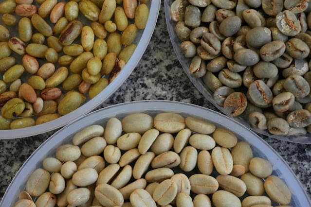 Brasil exporta uma quantidade pequena, mas recorde, de café verde "naturalmente" descafeinado