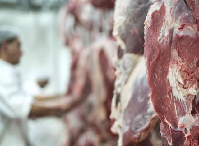 Brasil deve enviar à União Europeia dados sobre antibióticos em carnes até semana que vem