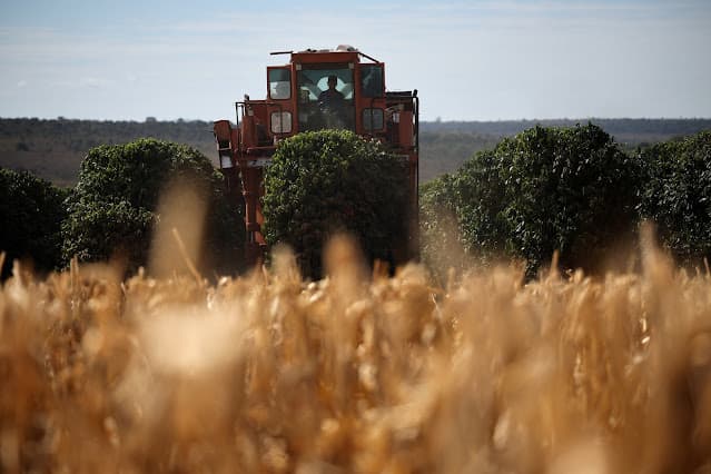 Empresas do agronegócio registram salto na rotatividade de CEOs no Brasil, aponta pesquisa