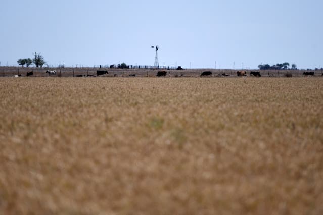 Argentina reduz impostos sobre grãos para aliviar margens agrícolas apertadas, diz bolsa