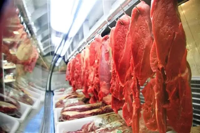 União Europeia vai proibir a compra de carne e animais do Brasil a partir de setembro