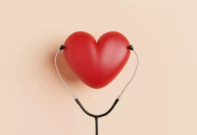Entenda por que o coração feminino precisa de cuidado redobrado