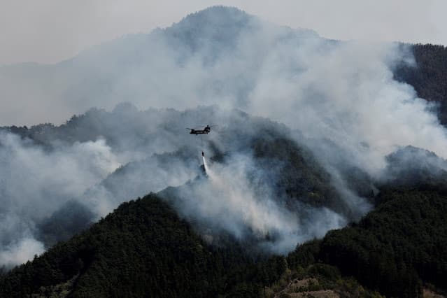 Incêndios atingem recorde e extremos de calor "sem precedentes" se aproximam, dizem cientistas