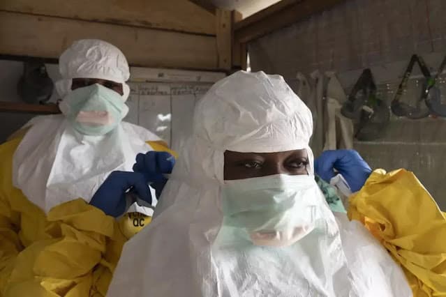 Entenda por que o Brasil nunca registrou um caso de Ebola na história